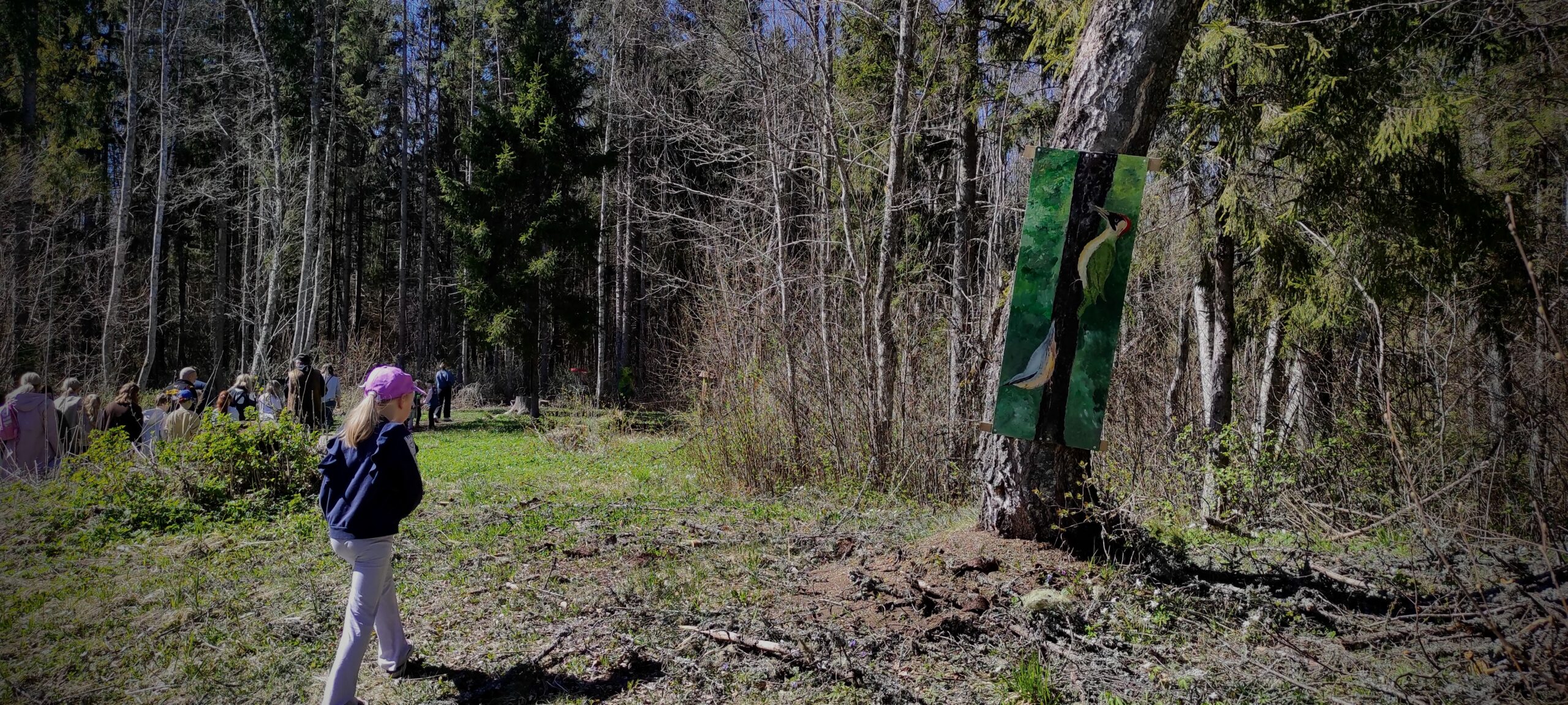 Näitus “Asukad” Tule metsa! Paunküla asub Kose vallas looduskaunis kohas,  kus kohtuvad vesi ja mets. Selle aasta alguses kutsus Paunküla Heaolukeskus Kose Huvi